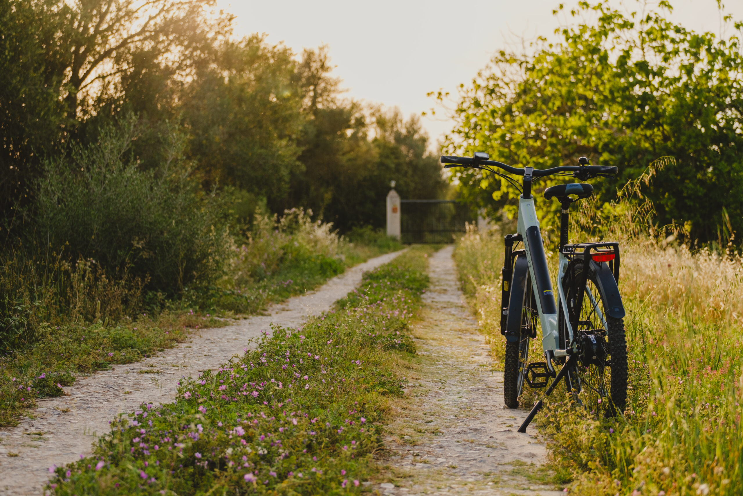 Sonnenbeschienener Weg im Grünen mit einem Fahrrad am Wegesrand